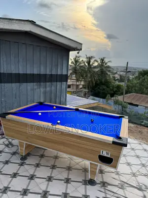 Standard Pool Table From Lw Industries From Germany