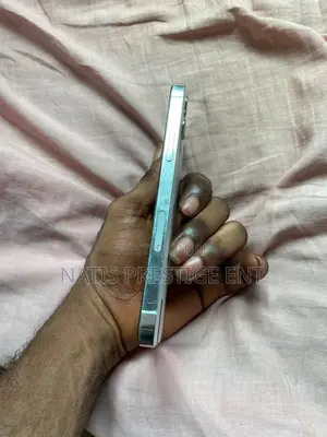 Apple iPhone 12 Pro Max 128 GB Silver