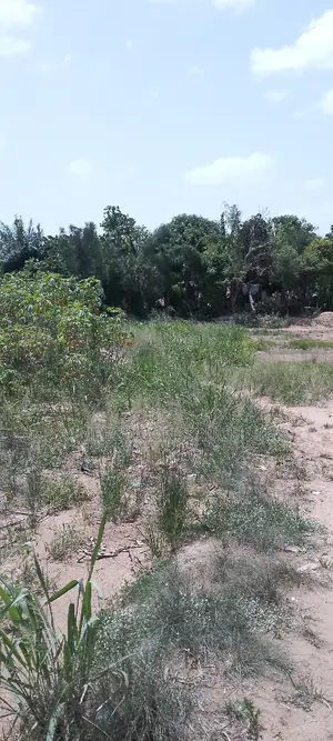 Residential Plot of Land for Sale Value Available