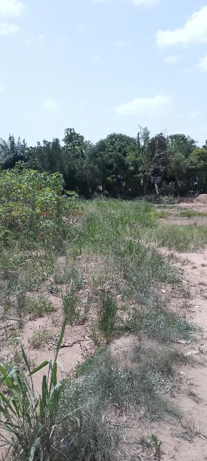 Residential Plot of Land for Sale Value Available