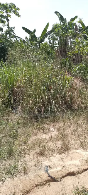 Residential Plot of Land for Sale Value Available