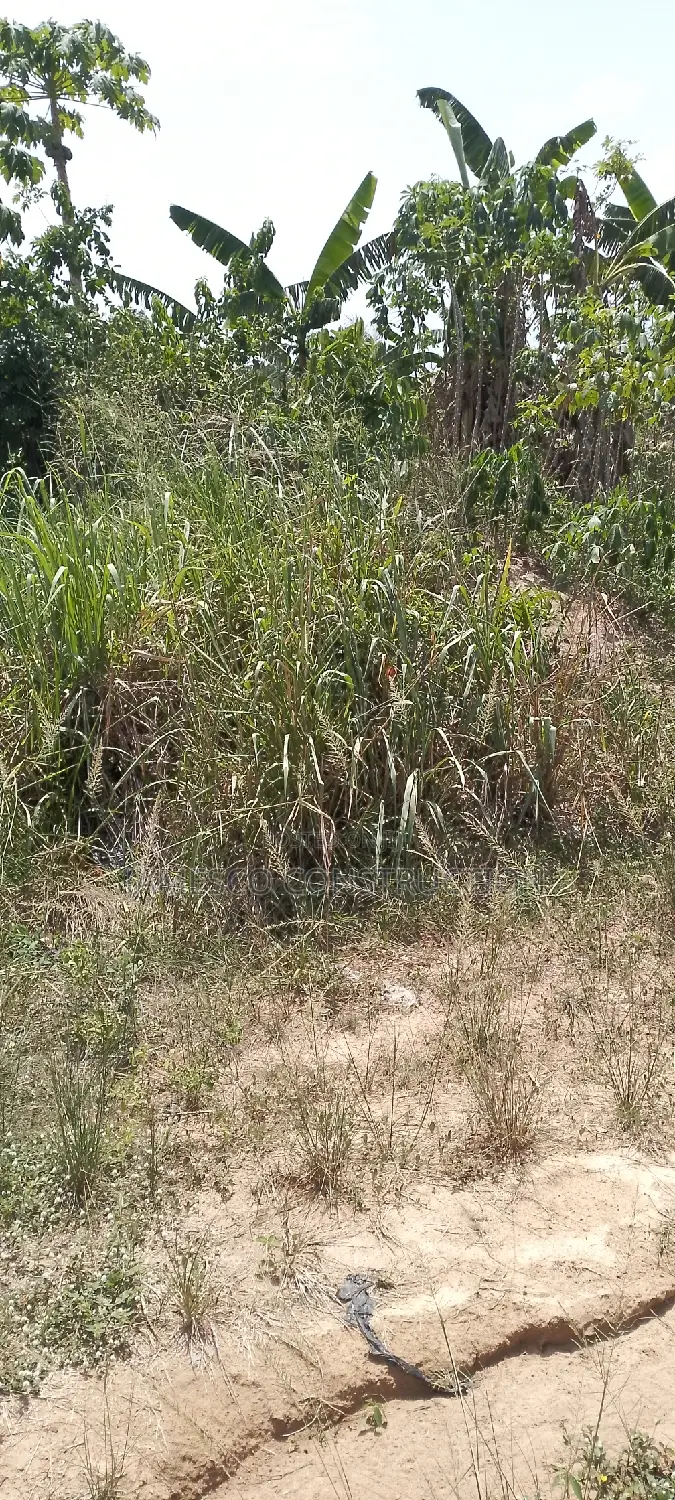 Residential Plot of Land for Sale Value Available