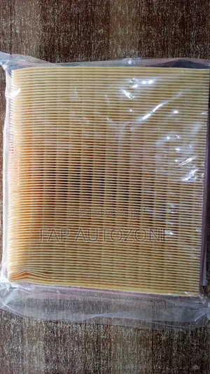 01516.Original Chevy Cadillac Buick Air Filter From Usa.