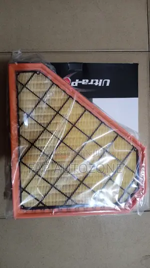 01508. Original Cadillac CTS Air Filter From Usa. Wa10400