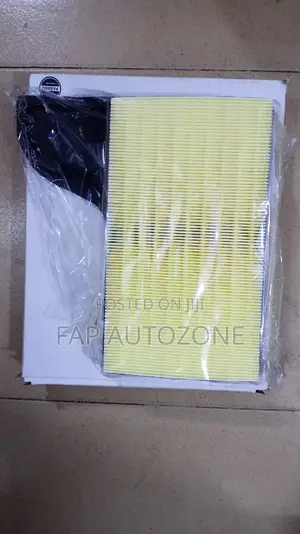 01574. Original Ford Mustang Air Filter From USA. WA10315