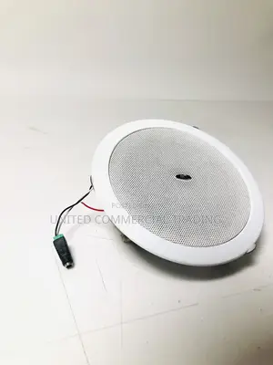 Ceiling Speaker (ITC 15W,3W,6W)