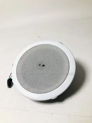 Ceiling Speaker (ITC 15W,3W,6W)