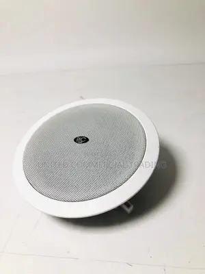 Bluetooth 50 Stereo Ceiling