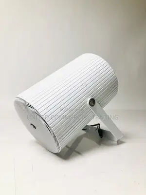 Outdoor Dual-Projection Speaker