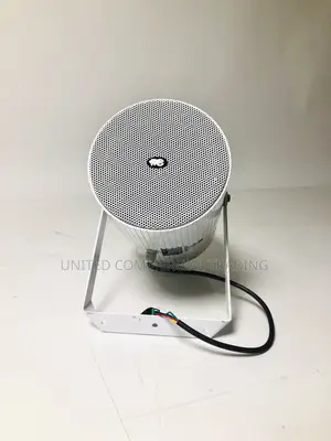 Outdoor Dual-Projection Speaker