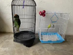 2 Cages for Parrots
