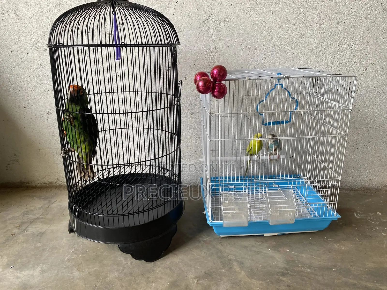 2 Cages for Parrots