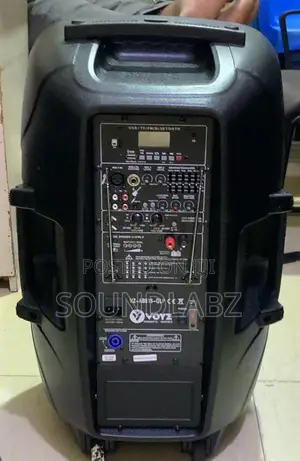 Voyz 15" Powered 750w Pa Speaker With Bluetooth, Stand Mic