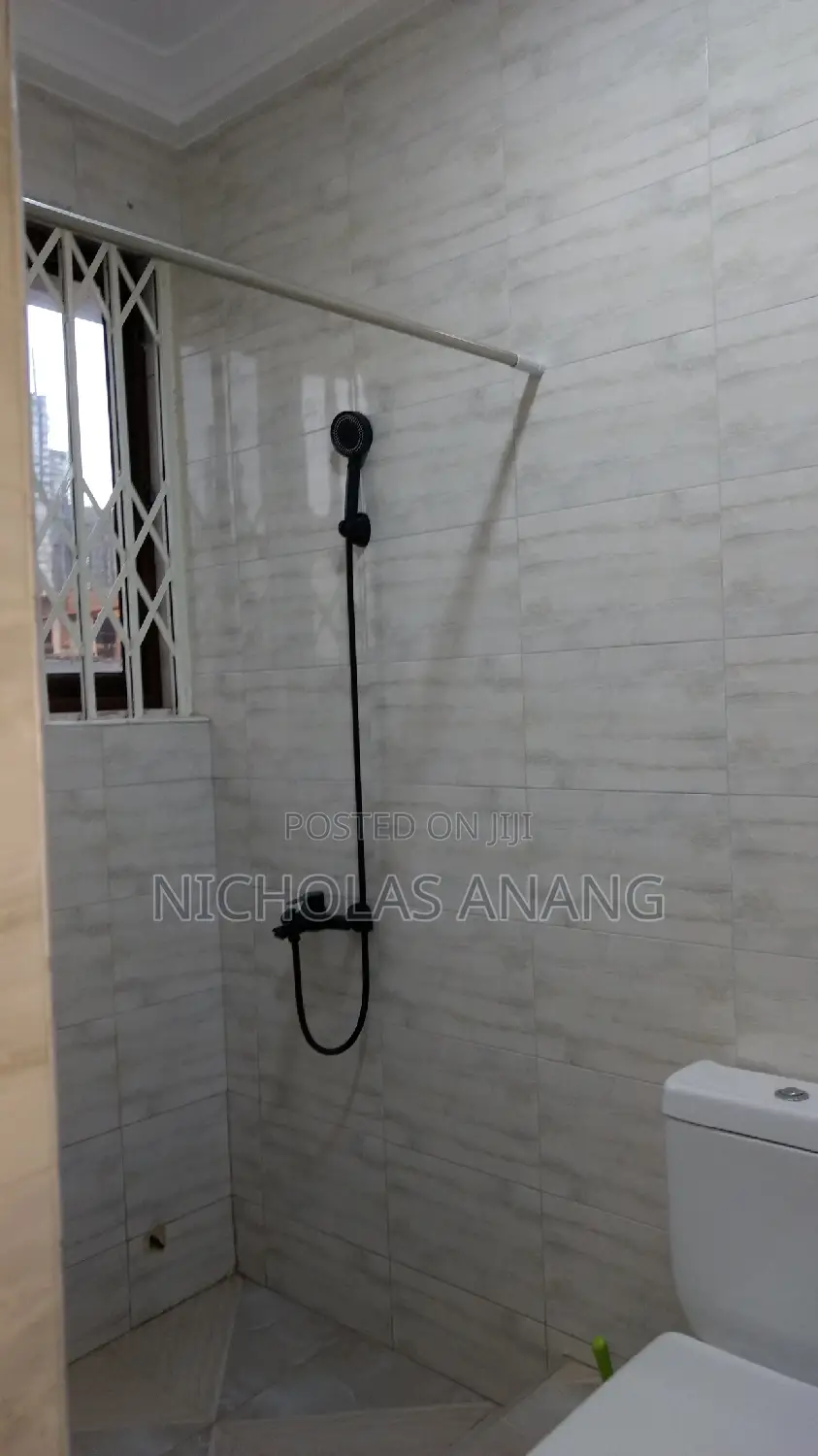 2bdrm Apartment in Don Nicky Properties, Tseaddo for rent