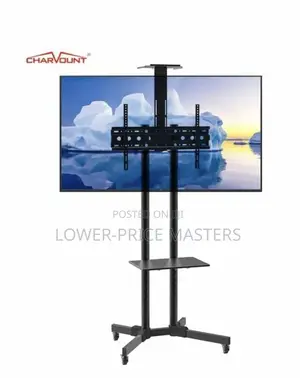 Adjustable Tv and Laptop Movable Stand