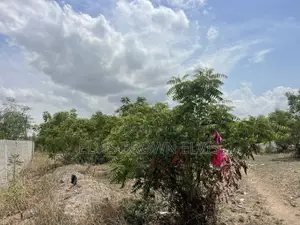 Do You Want to Live at West Trasacco in Future Call 4 Land