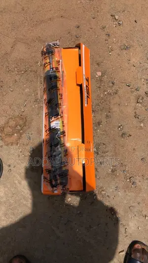 Photo - Hyundai Tucson Santafe Elantra Sonata Back Shocks