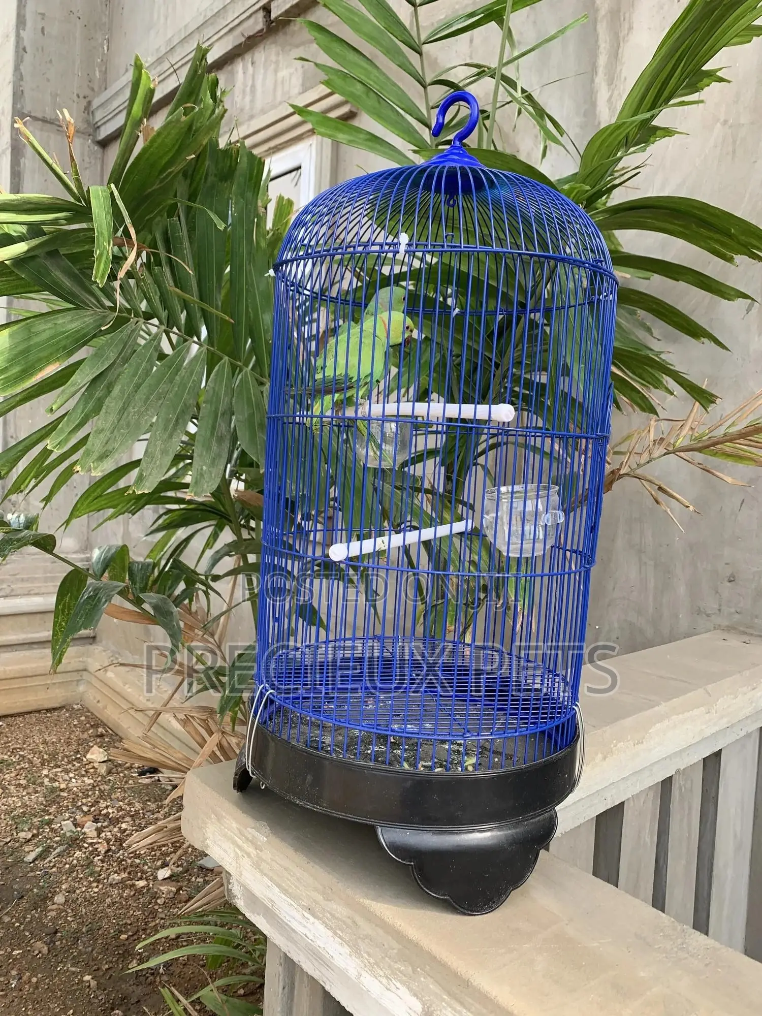 Blue Cone Cage for Parrots