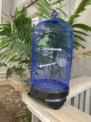 Blue Cone Cage for Parrots