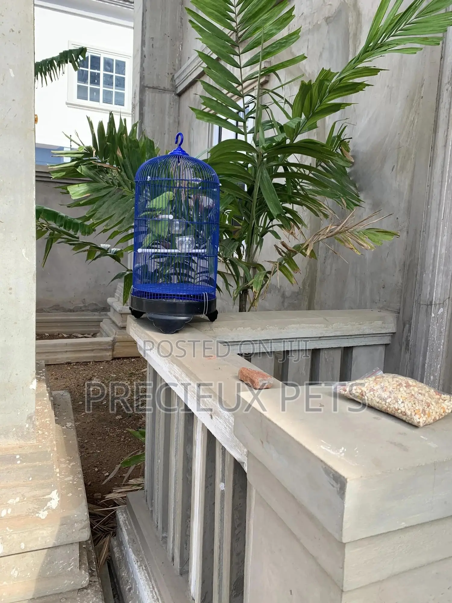 Blue Cone Cage for Parrots