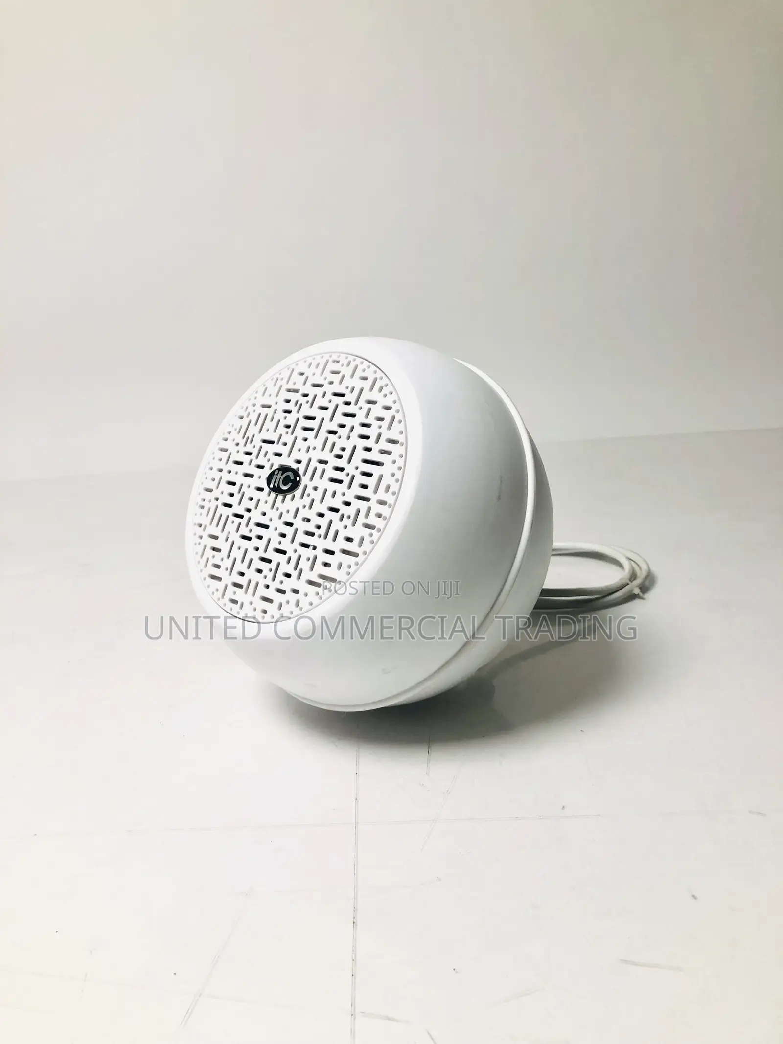 Indoor Pendant Speaker (6W)