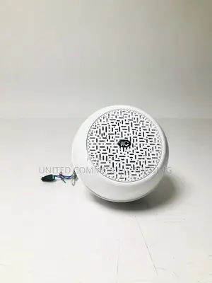 Indoor Pendant Speaker (6W)