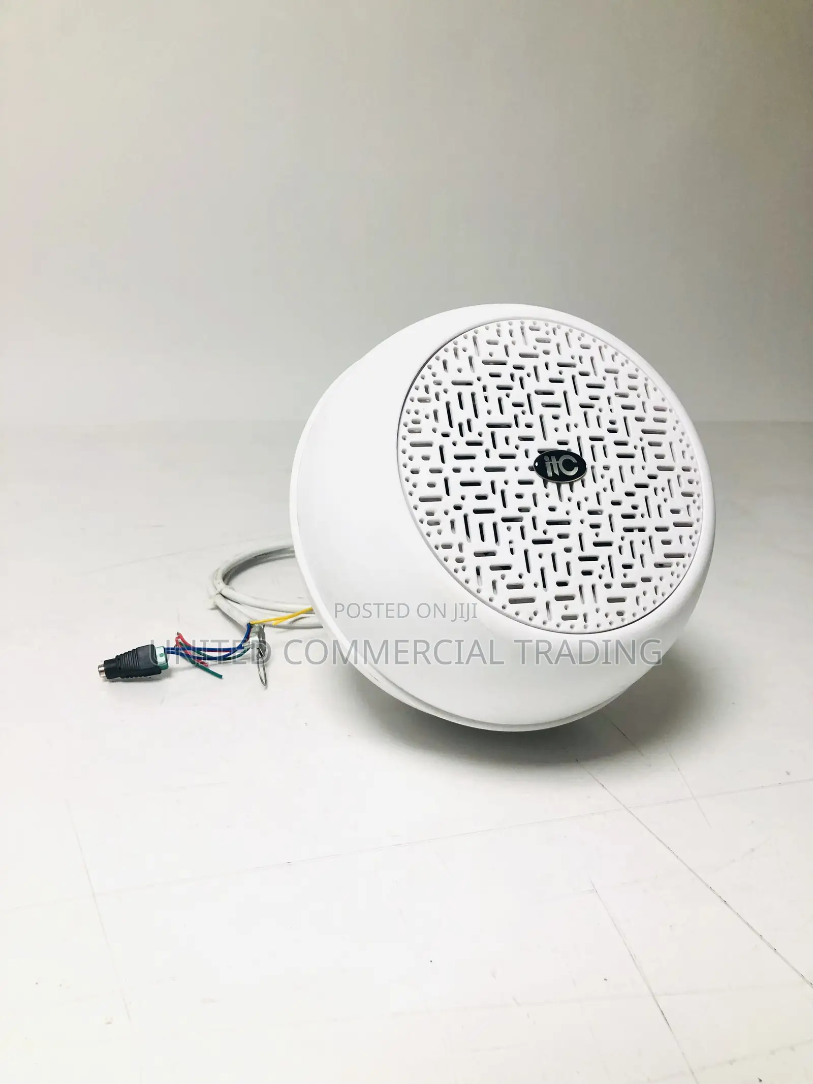 Indoor Pendant Speaker (6W)