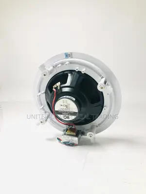 Ceiling Speaker (187w-375w)