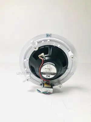 Ceiling Speaker (187w-375w)