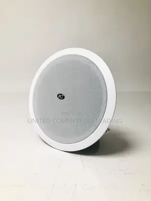 Ceiling Speaker (187w-375w)