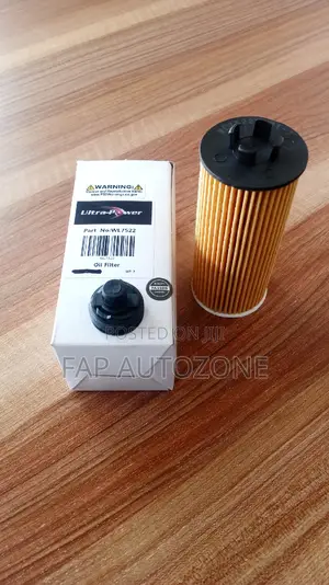 01613. Original Bmw, Mini Cooper Oil Filter From Usa