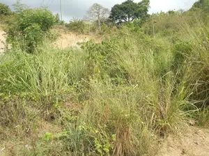 A Land for Sale at Bortianor Hills  Land Size: 15 Plots