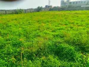 10 Acres for Sale Tema Community 26