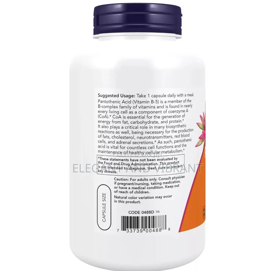 Pantothenic Acid, 500 Mg, 100 Veg Capsules