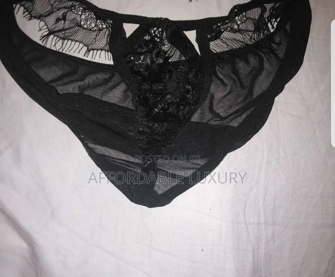 2 Piece Designer Embroidered Soft Lace Bra and Panty Set