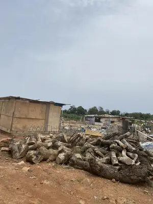 1plot of Land for Sale at Tseaddo Zion