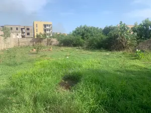 One Plot for Sale in Lashibi, Size 70/100
