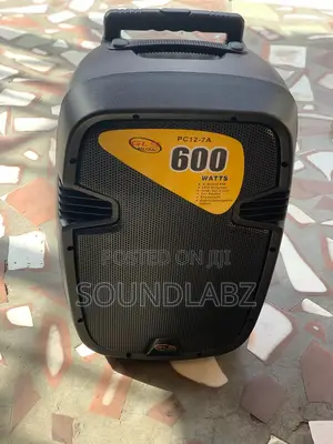 GLS 12inches Bluetooth Speaker With Two Microphones Stand