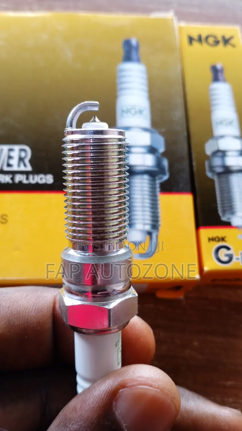 01624. Original NGK Spark Plugs From USA. 5019
