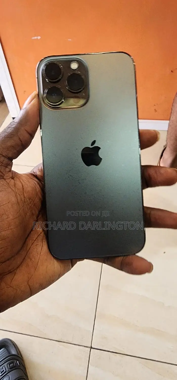 Apple iPhone 13 Pro Max 256 GB Gray