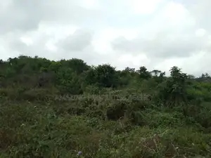 14 Plots of Land at Aburi Pokuase
