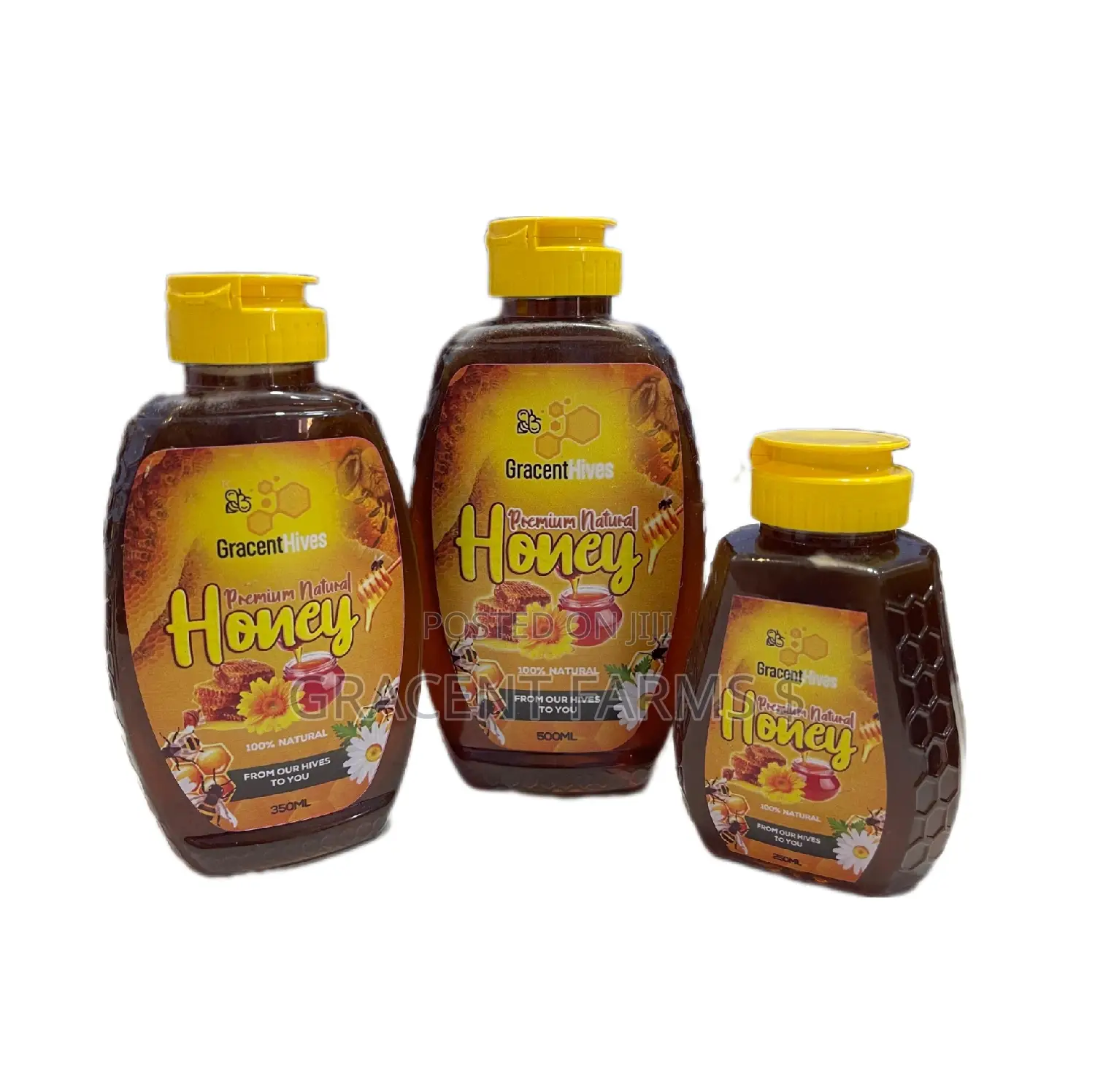 500ml Gracent Hives Premium Natural Honey