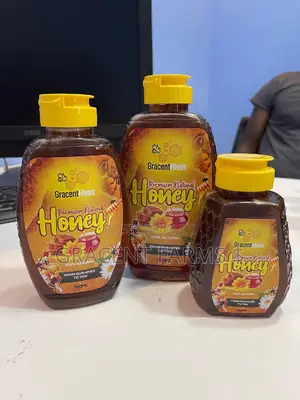 500ml Gracent Hives Premium Natural Honey