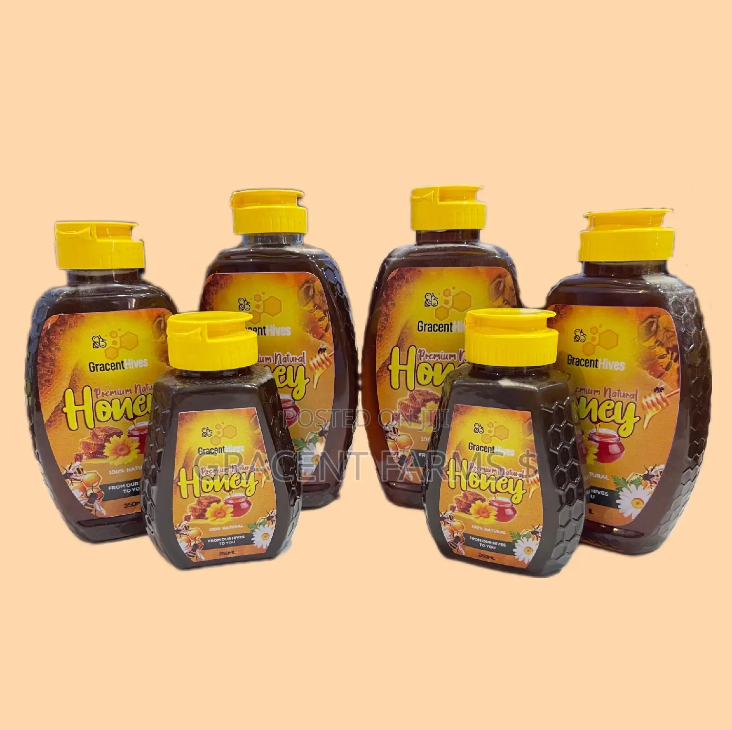 500ml Gracent Hives Premium Natural Honey