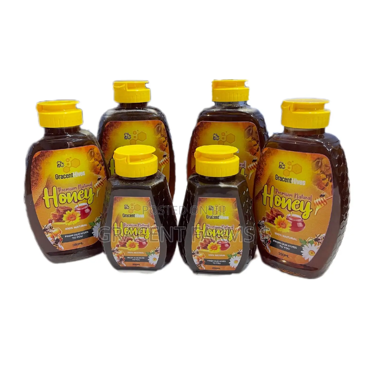 500ml Gracent Hives Premium Natural Honey