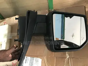 Ford F-150 2020 - 2023 Side Mirror