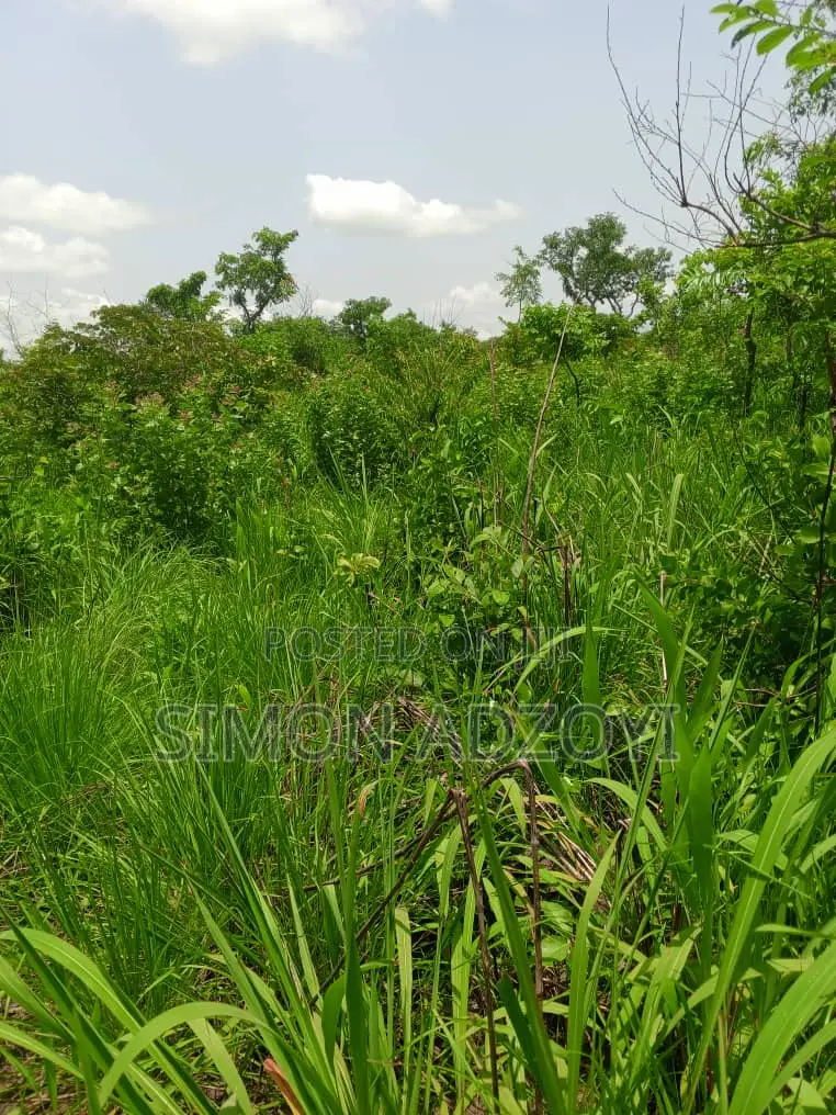 4000 Acres of Farm Land for Sale