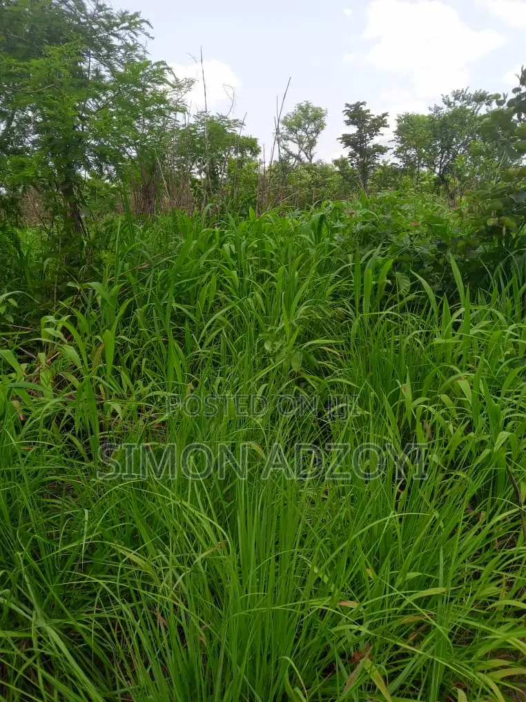 4000 Acres of Farm Land for Sale