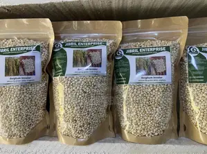African Big White Sorghum, Non Hybrid, Late Mature Variety