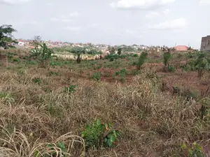 Sokoban Land for Sale